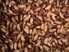 RAW BRAZIL NUTS 1KG