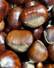MEDIUM FRESH AUSTRALIAN CHESTNUTS 1KG