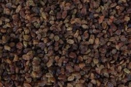 ORGANIC SULTANAS AUSTRALIAN 1KG