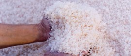 MURRAY RIVER PINK SALT CATERING 500g