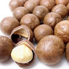 RAW MACADAMIA NUTS IN SHELL 1KG