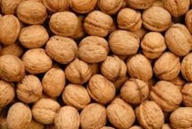 AUSTRALIAN PREMIUM WALNUTS IN SHELL 1KG