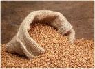 ORGANIC BUCKWHEAT KERNELS 1KG