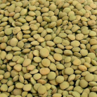 GREEN LENTILS 1KG