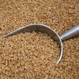 ORGANIC SPELT GRAIN 1KG